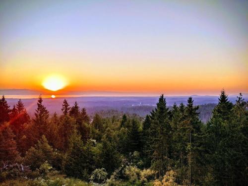 a sunset over a forest of trees with the sun setting at Mountain House of Wonder in Qualicum Beach