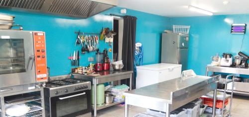 a kitchen with blue walls and a blue wall at Écolodge Entre Nature & Silence Au Coeur du Quercy in Bétaille