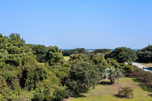 a row of trees with a road in the background at Worthington Lane in Kitty Hawk