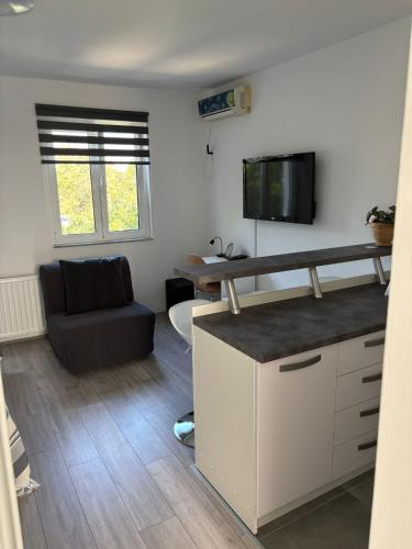 Μια τηλεόραση ή/και κέντρο ψυχαγωγίας στο Studio Apartman NoNa