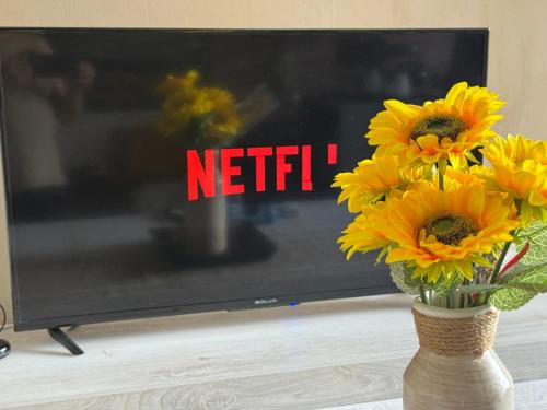Monolocale con tutti i confortにあるテレビまたはエンターテインメントセンター