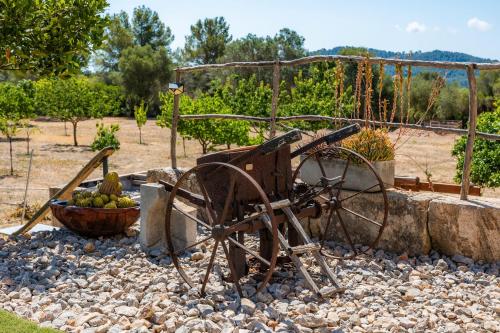 Κήπος έξω από το Finca Son Montserrat
