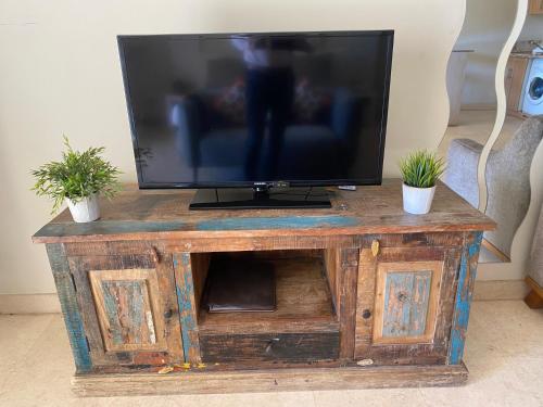 a television on a wooden table with two potted plants at Cozy studio in Azzurra Resort Sahl Hasheesh 65 Sq M in Hurghada