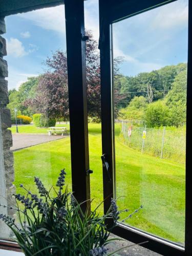 Ein Garten an der Unterkunft Beautiful & Quiet Countryside Setting in Kinsale