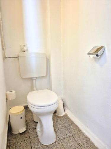 a bathroom with a white toilet in a room at Nattersbergalm in Reit im Winkl