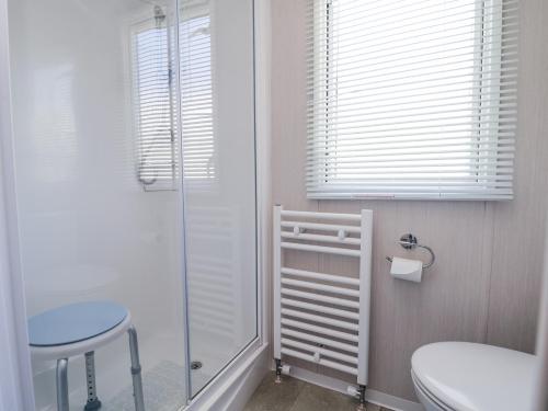 a bathroom with a shower and a toilet and a stool at V9 Ty Mawr Holiday Park in Abergele