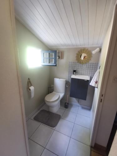 une petite salle de bain avec toilettes et miroir dans l'établissement Le Petit Rosnel, à Saint-Jean-de-Monts
