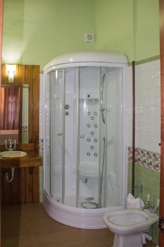 a bathroom with a shower and a toilet and a sink at Casa Rural La Flor del Naranjo in Cadalso