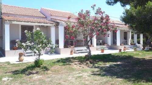 E & K Sea View Apartments Urlaub mit Ausblick Entspannung direkt am Meer