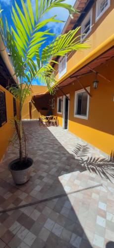 a palm tree in a pot next to a building at VILLA COIMBRA in Lauro de Freitas