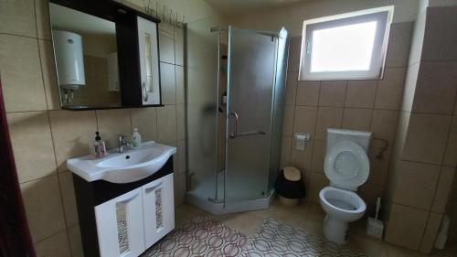 a bathroom with a shower and a sink and a toilet at Casa Damian in Bertea