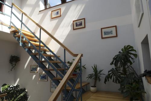 Φωτογραφία από το άλμπουμ του New boutique apartments house Gabrijela Mrak in old Tolmin σε Tolmin