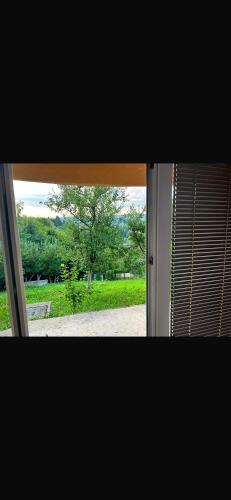 an open window with a view of a tree at Anelora House in Gladno Polje