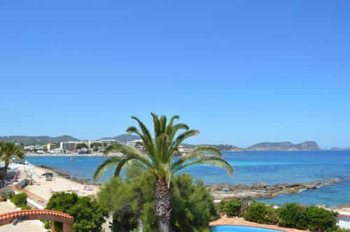 a palm tree on a beach with the ocean at Jacaranda Apartments & Studios in Es Cana
