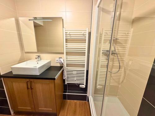 une salle de bain avec un lavabo et une douche dans l'établissement Appartement confort pour 4 pers, en bord de pistes avec balcon, animaux admis - FR-1-452-265, aux Menuires