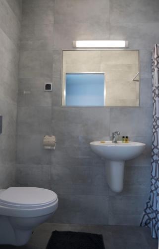 a bathroom with a sink and a toilet and a mirror at Pokoje Gościnne Heland in Jastrzębia Góra
