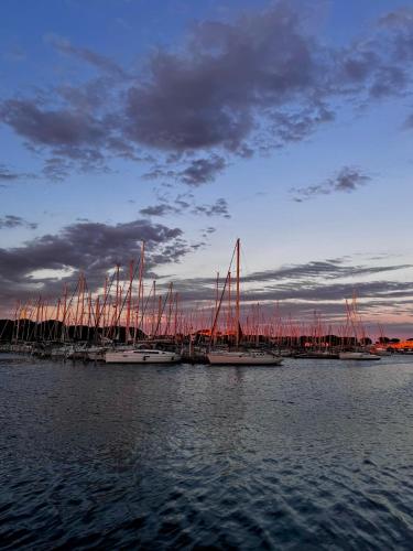 Marina Port Camargue