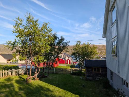 a yard with a tree next to a house at North Cape family lodge in Skarsvåg