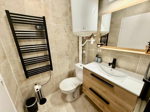 une salle de bain avec toilettes, lavabo et miroir dans l'établissement T2 design centre Aucamville - Clim-Parking, à Aucamville