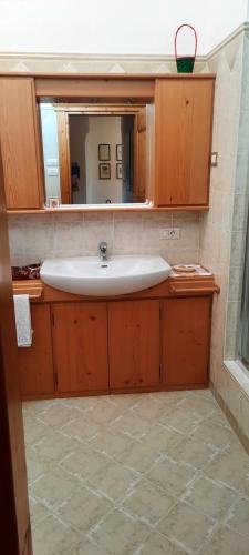 a bathroom with a sink and a mirror at Casa Falco in Cortina dʼAmpezzo