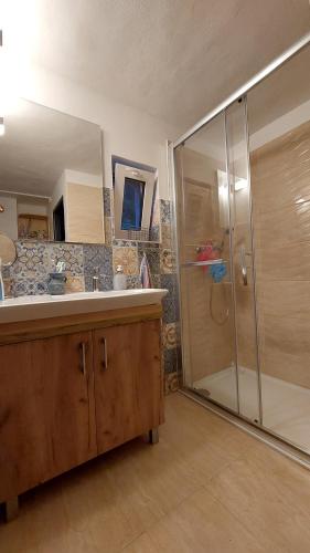 a bathroom with a shower and a sink at Chata pod lípou Bílý Kříž in Klokočov