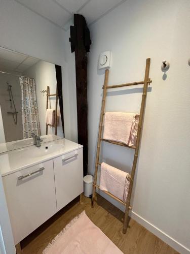 La salle de bains est pourvue d'une échelle et d'un lavabo. dans l'établissement Château de Sérignac, à Malemort-sur-Corrèze