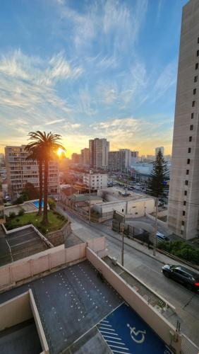 a view of a city with a palm tree and buildings at Cozy and nice apartment in Viña del Mar
