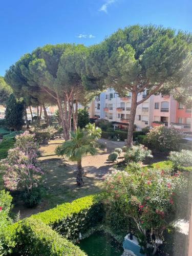 Côté Quai -T2 vue port Parking privé Cap d'Agde centre
