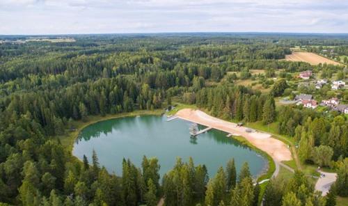 an aerial view of a lake in a forest at Suve vacation home in Tõrva