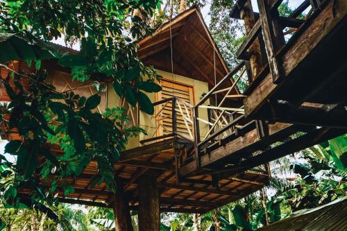 a tree house with a staircase in a tree at Burú Nature Hotel in Leticia