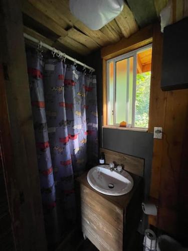 a bathroom with a sink and a window at Gracies Grotto Cabin in Powell River