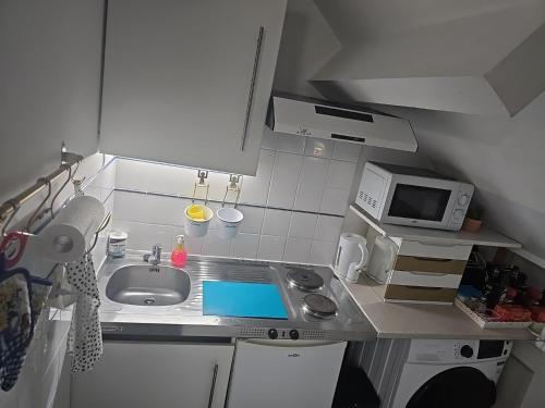 une petite cuisine avec un évier et un micro-ondes dans l'établissement Petit Appartement Nantais, à Nantes