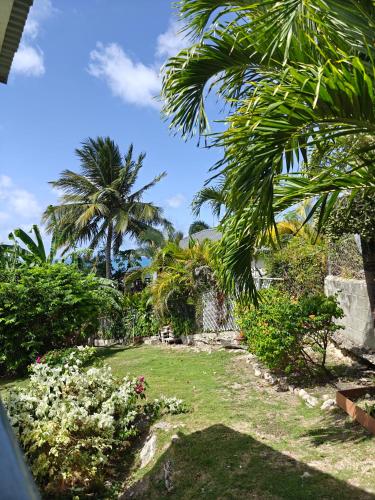 a garden with palm trees and flowers on the grass at LaBelleVue Antigua Oceanview Suites and OnSite Car Rentals in Crosbies
