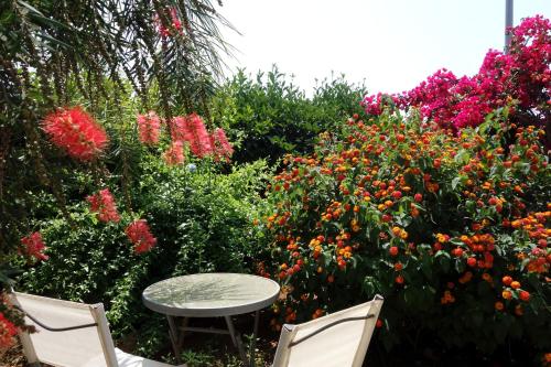 Zahrada ubytování Camera privata in villa a Maruggio