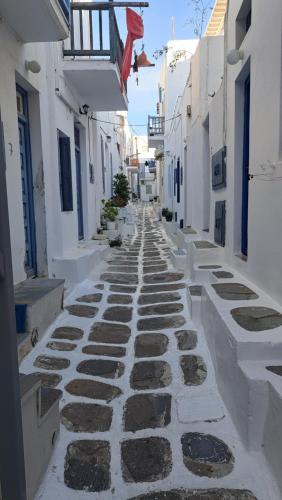 Nabolaget omkring feriehuset eller i nærheden