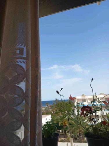 a window with plants and a view of the ocean at Appartement S2 cotè mer Soviva Kantaoui in Hammam Sousse