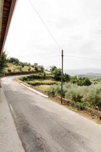 an empty road in the middle of a field at Casa das Nogueiras in Armamar