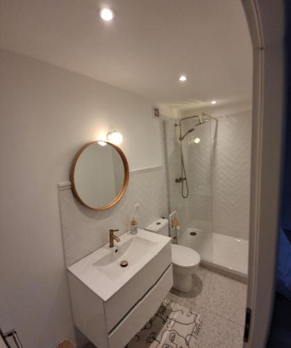 une salle de bain avec un lavabo, des toilettes et un miroir dans l'établissement Villa Sainte MaÏsse avec piscine, à Solliès-Pont
