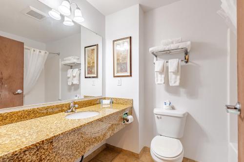 a bathroom with a toilet and a sink at Qualla Cabins and Motel Cherokee near Casino in Whittier