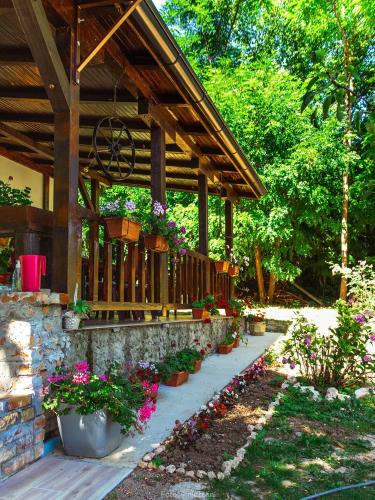 Zahrada ubytování Vila Marina na obali Dunava