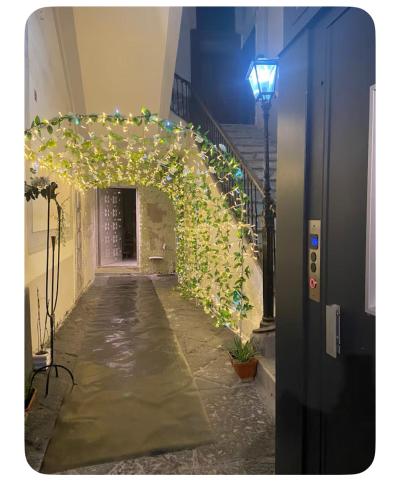 casa marlu