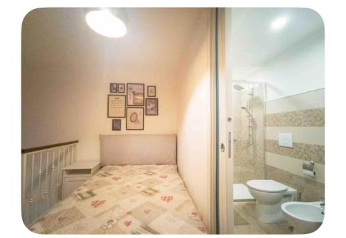casa marlu