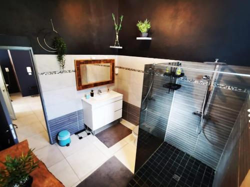 a bathroom with a shower and a sink at Villa CYNNE Paradis Tropical in Baie-Mahault