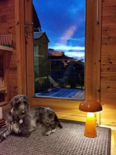 Domácí mazlíčci ubytovaní s hosty v ubytování Scenic Pet Friendly Pod in Talybont Aberystwyth