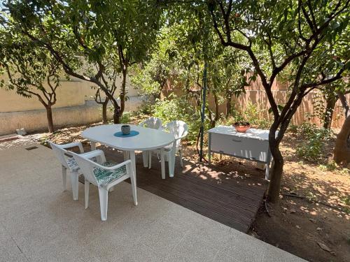 Orange Tree
