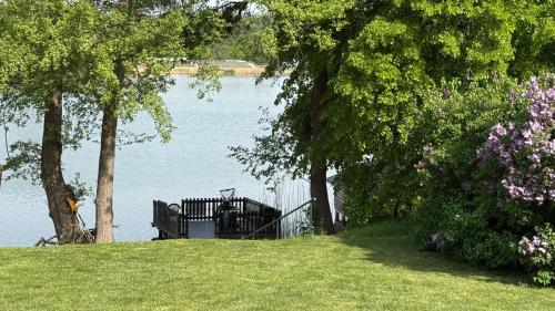 a park bench sitting next to a body of water at FEWO Am Haussee Feldberger Seenlandschaft in Feldberg