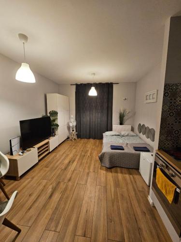 Modern flat
