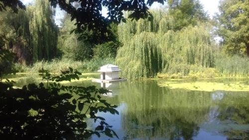 a pond with a bird house in the middle of it at Simple Mini- Apartment City Park in Wismar