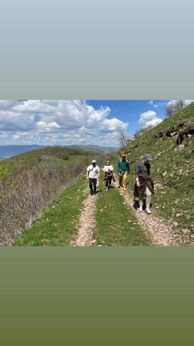 Gallery image of Hacijenda Bogavac, Dolovi Lalevica in Kolašin
