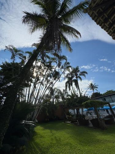 a palm tree towering over a yard with grass at Pousada Point Beach - Acácias in Guarujá